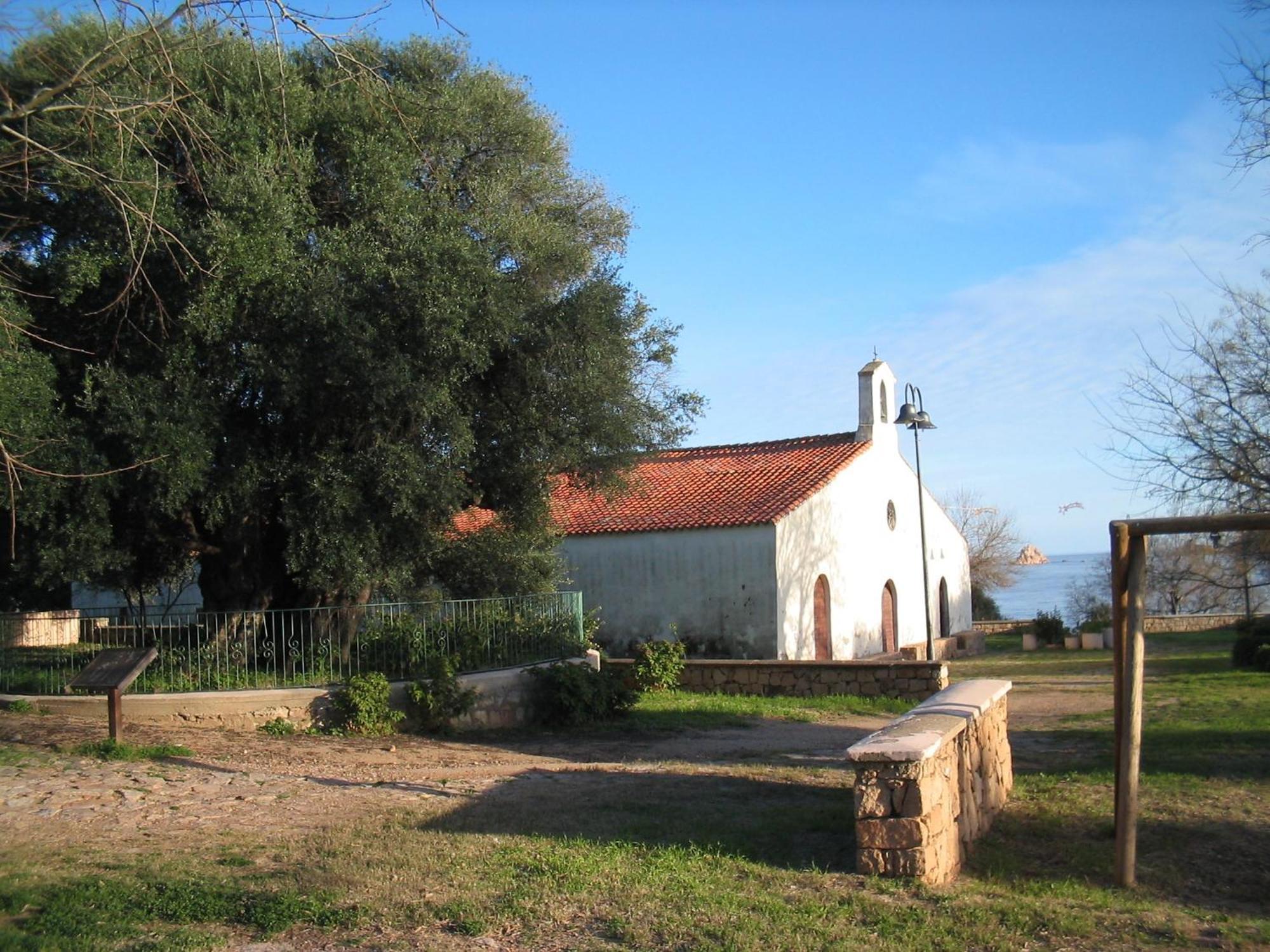 Nicoletta Santa Maria Navarrese